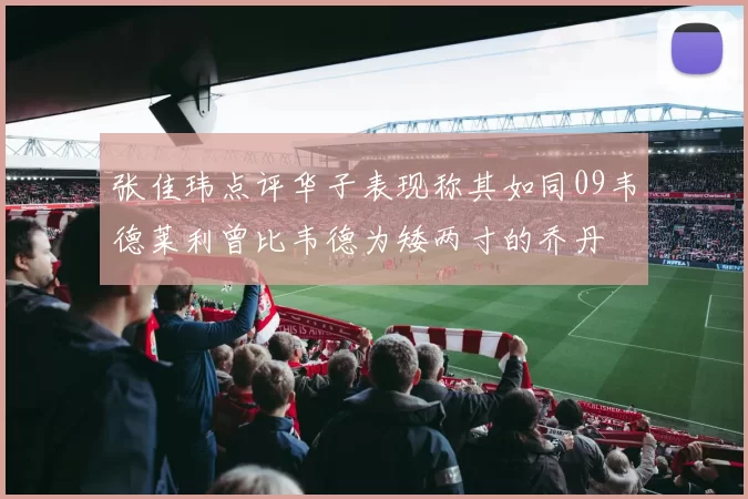 张佳玮点评华子表现称其如同09韦德莱利曾比韦德为矮两寸的乔丹